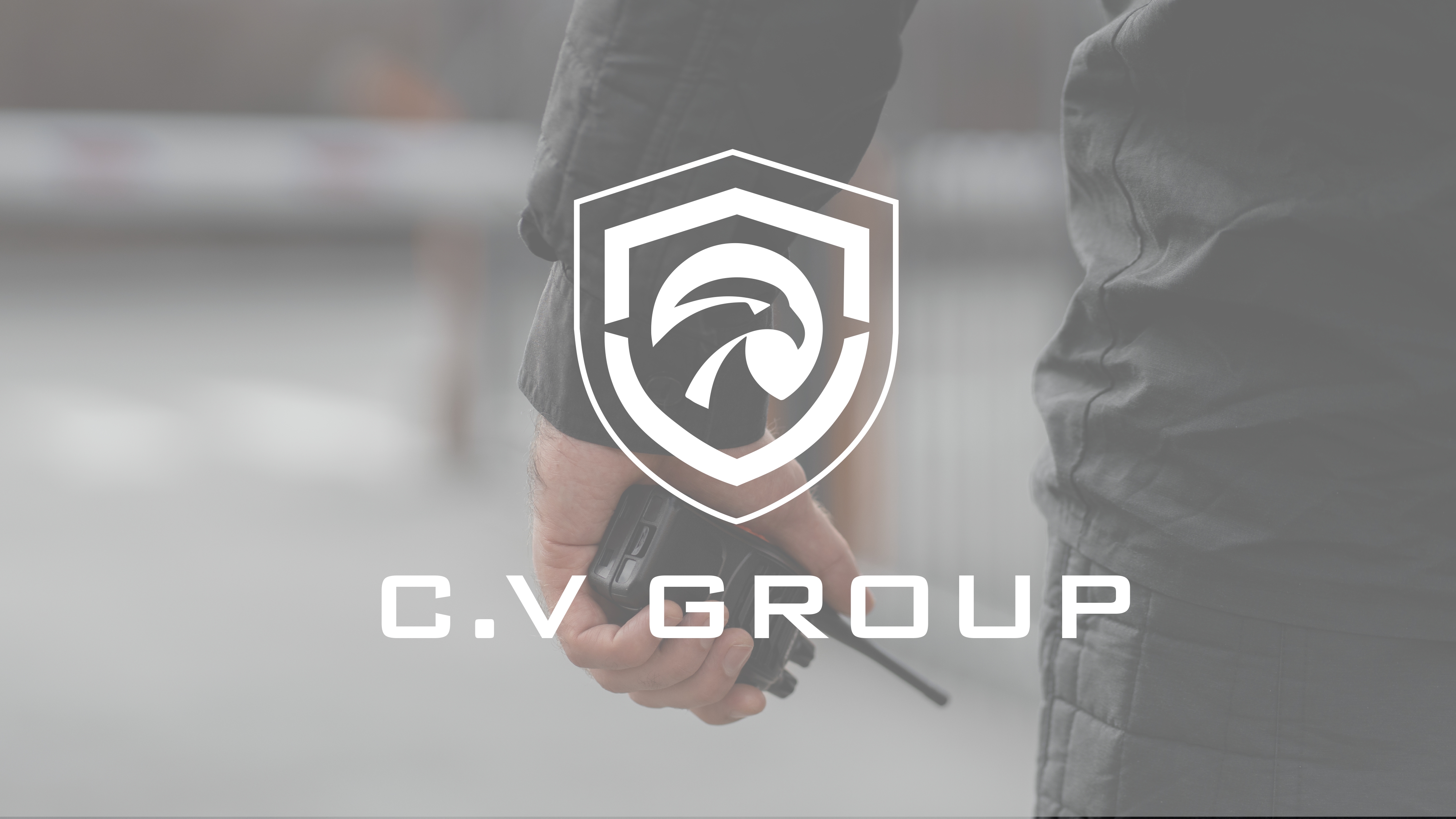 Seguridad profesional